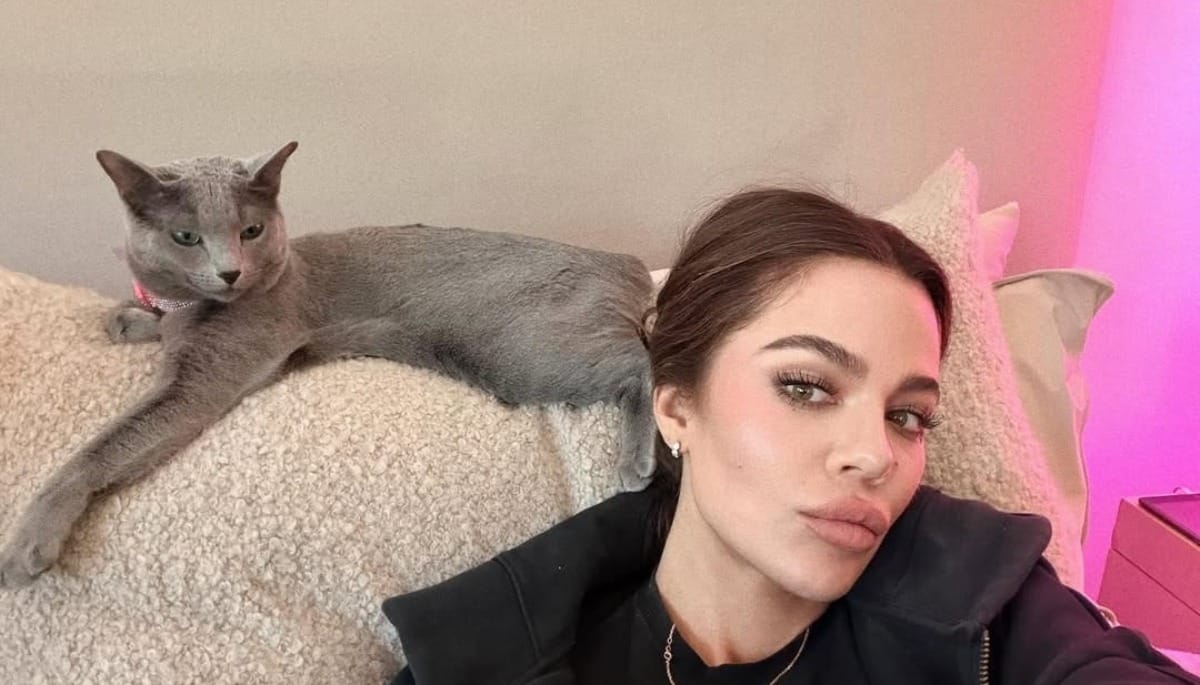 Arrancar garras de gatos, como fez Khloé Kardashian, é ilegal no Brasil