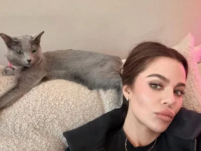 Arrancar garras de gatos, como fez Khloé Kardashian, é ilegal no Brasil