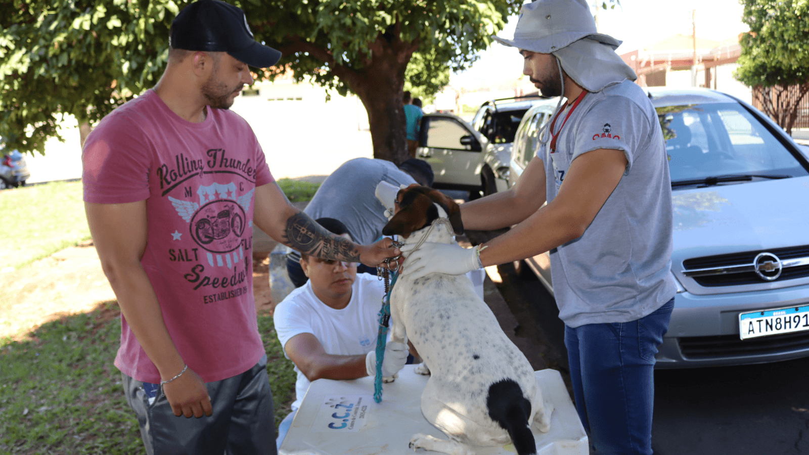 UVZ realiza plantão para animais no bairro Alexandrina no sábado (30)