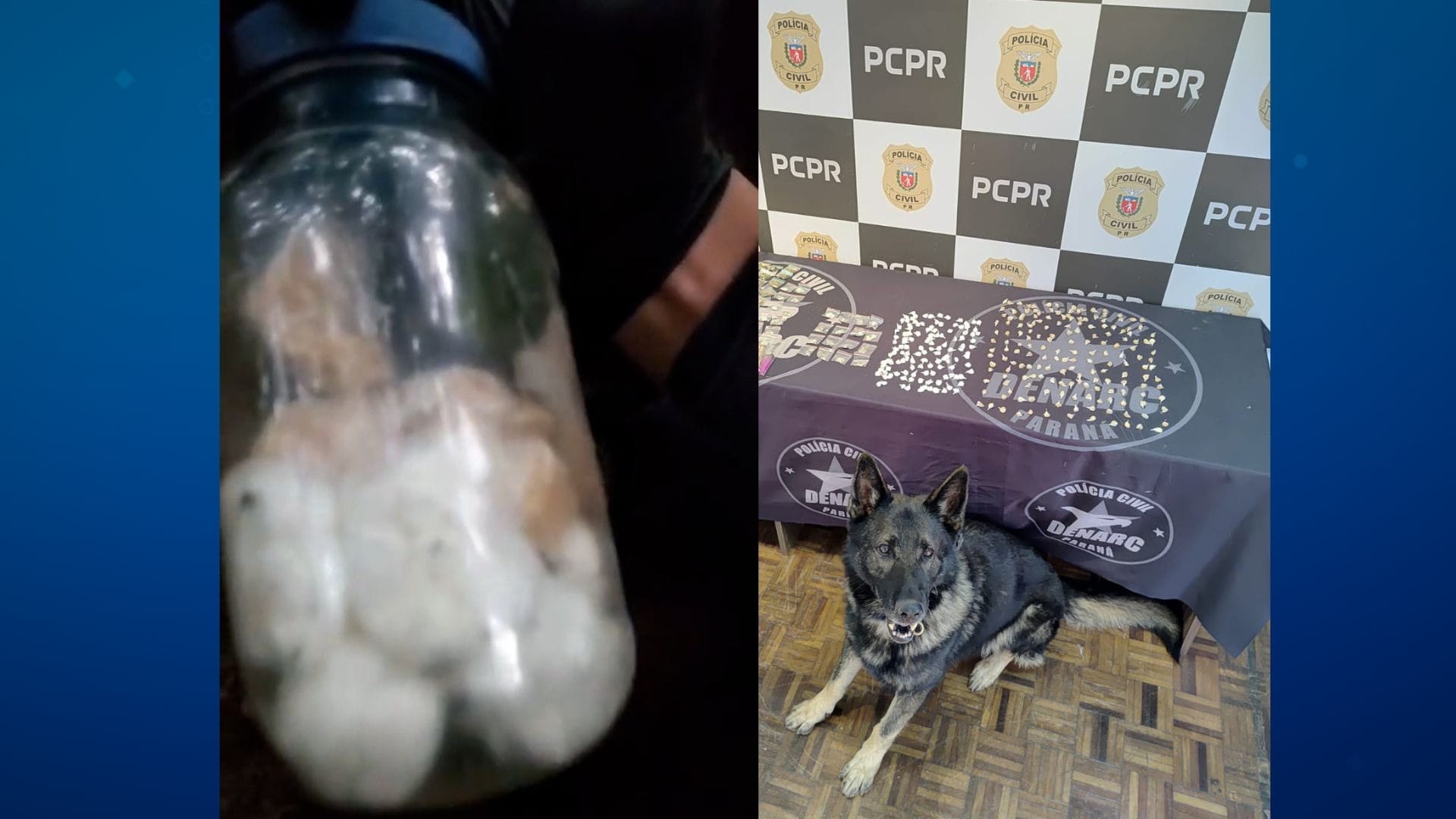 Cão acha droga enterrada em ação para evitar condomínio do medo em Curitiba