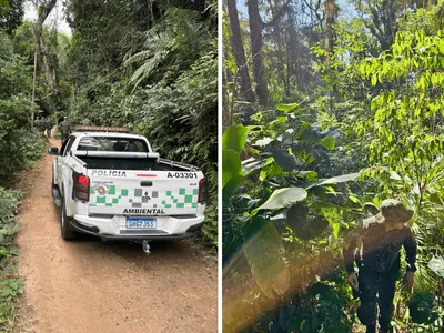 Operação combate caça ilegal em áreas de Mata Atlântica no Litoral Norte