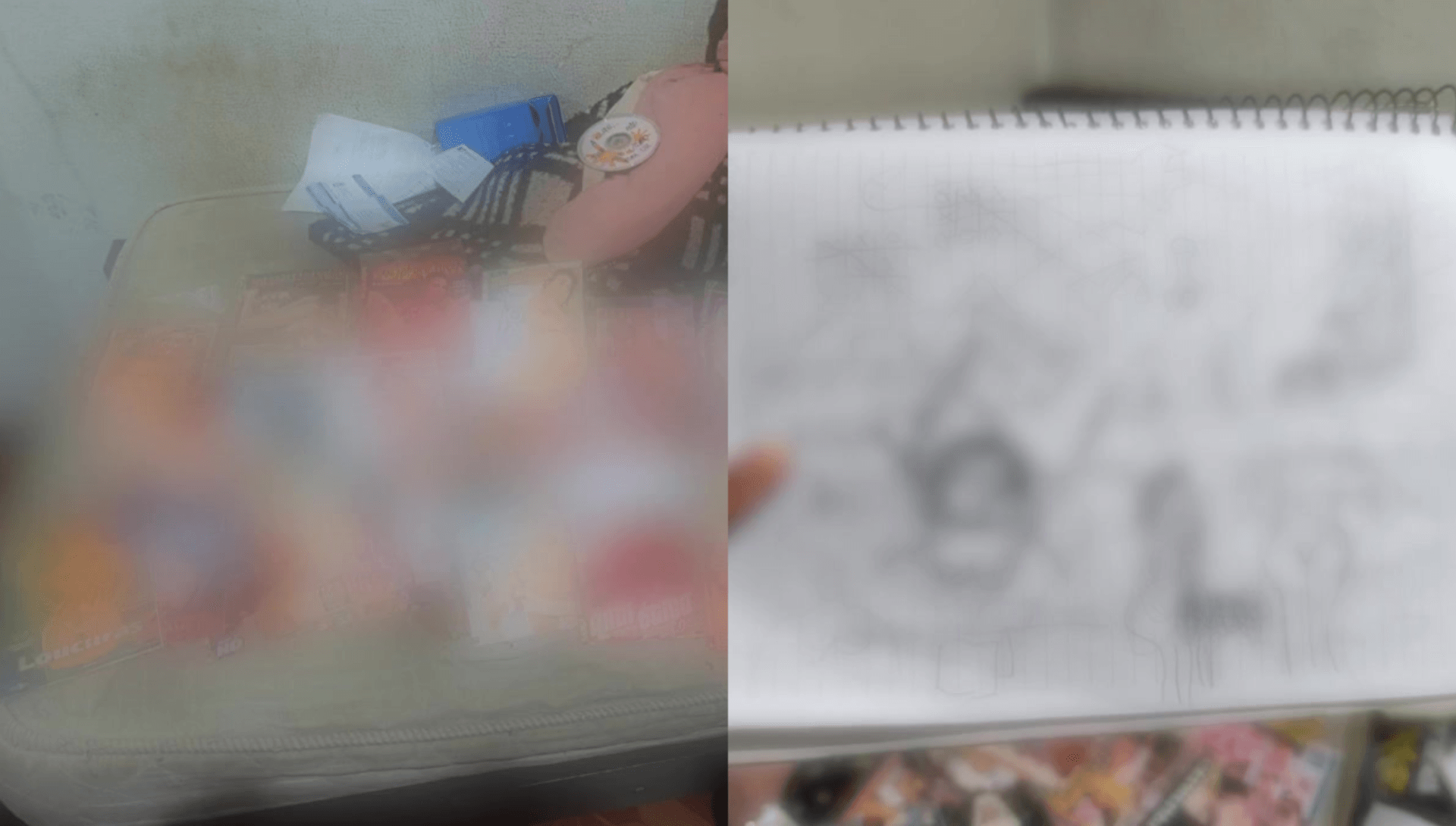 No imóvel, foram aprendidos desenhos e DVDs com conteúdo sexual