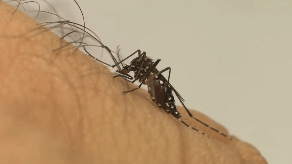 Três milhões de pessoas ainda precisam tomar a 2ª dose da Dengue no país