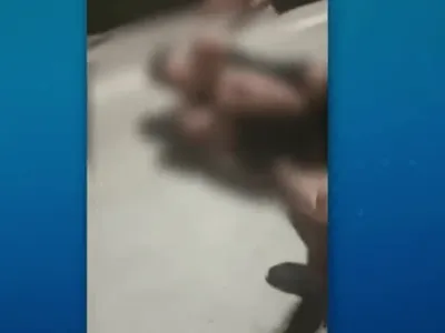 Lutador é preso após aplicar mata-leão em adolescente durante confusão