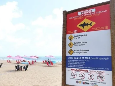 PE tem 83 incidentes com tubarões desde 1992; 24 foram na Praia de Piedade
