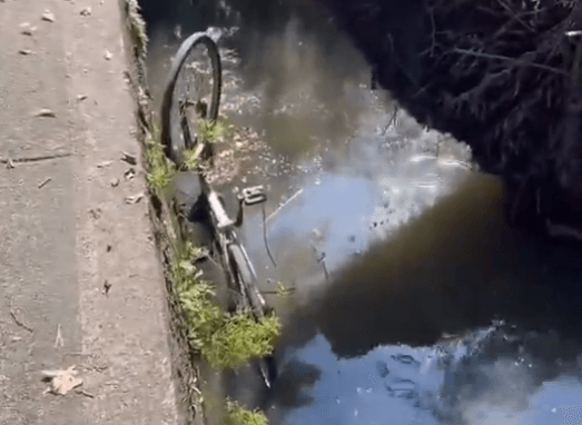Ladrão é contido e jogado na Lagoa Rodrigo de Freitas após roubar cordão