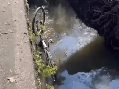 Ladrão é contido e jogado na Lagoa Rodrigo de Freitas após roubar cordão
