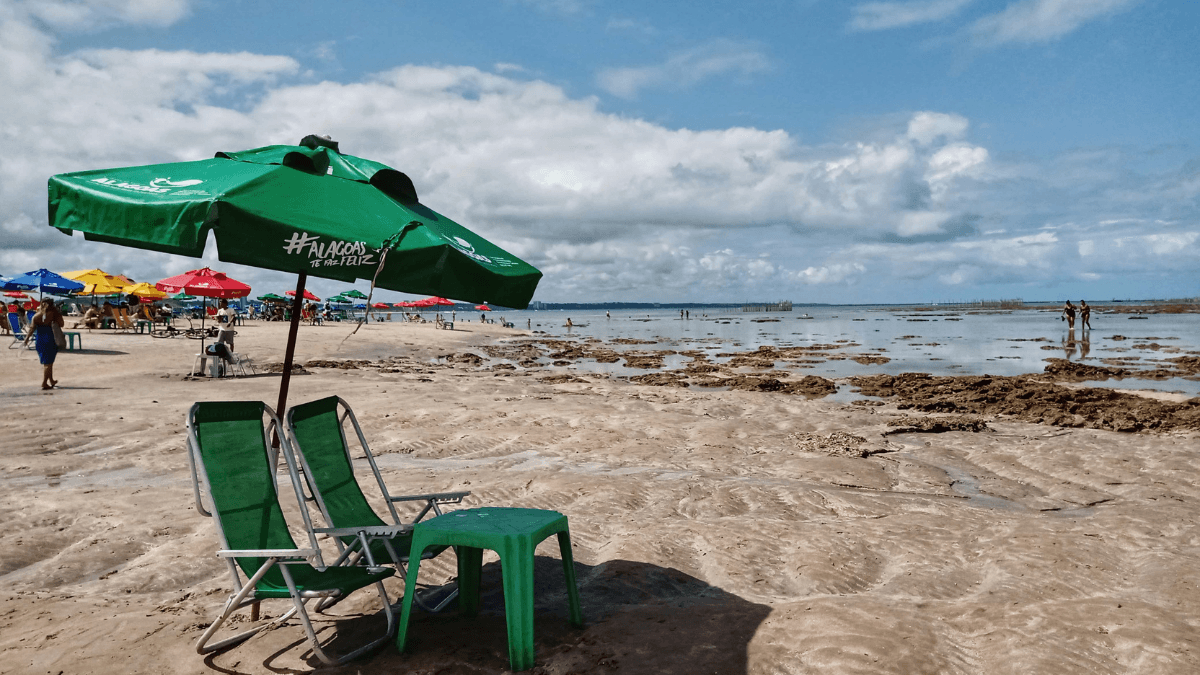 Praias de SP têm regras para guarda-sol, som alto e circulação de pets