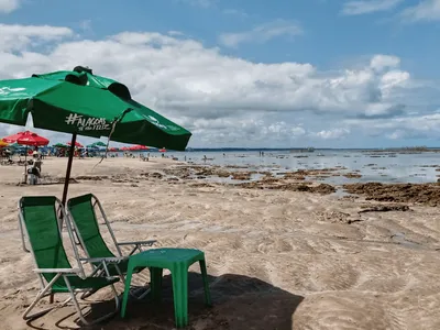Praias de SP têm regras para guarda-sol, som alto e circulação de pets