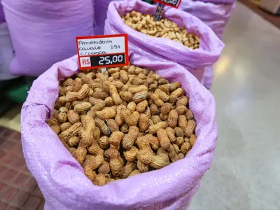 Paraná deve produzir 5,6 mil toneladas de amendoim