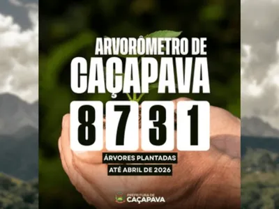 Dia Mundial do Meio Ambiente: Caçapava plantou mais de 8 mil árvores