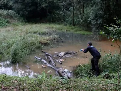 PCPR prende irmãos suspeitos de matar e ocultar corpo em Vitorino, no PR