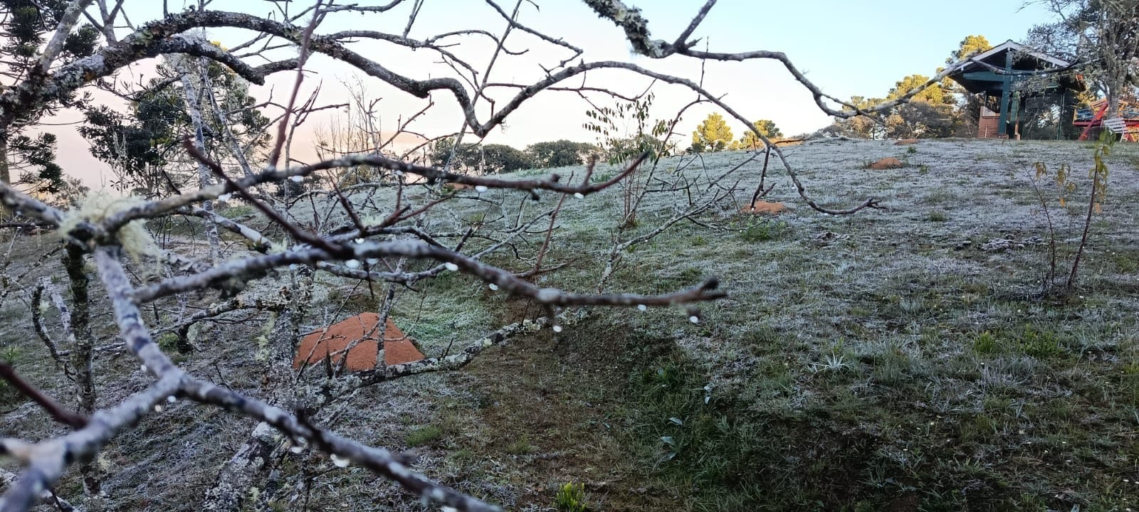 Inverno começa neste domingo (21) e traz ar seco e alerta para o campo