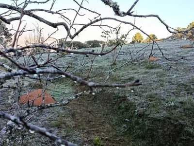 Nova frente fria chega com risco de muita chuva no sul e frio em MS e SP