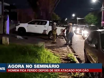 Homem fica ferido após ataque de pitbull no Seminário, em Curitiba