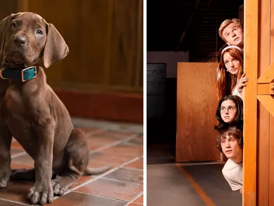 Netflix revela primeiro visual de Scooby-Doo em nova série live-action
