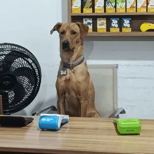 Reprodução/Instagram/antonioocaramelofc