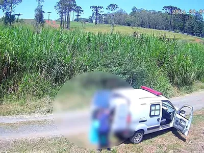 Veterinários são indiciados por maus-tratos a cães em Ponta Grossa
