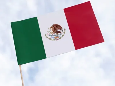 Copa do Mundo mobiliza mexicanos e sul-africanos que vivem em São Paulo