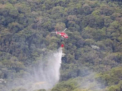 Operação São Paulo sem fogo: Estado reforça combate a incêndios florestais