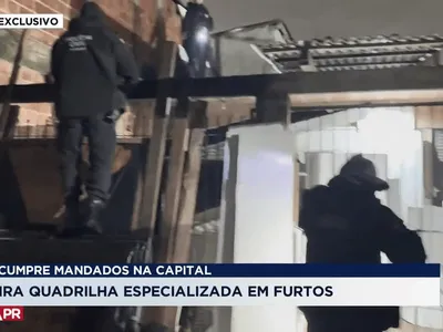DFRV faz operação contra quadrilha de furtos de veículos na CIC