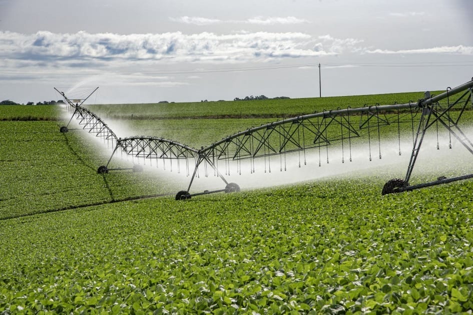 Brasil cultiva em torno de 8 milhões de hectares irrigados
