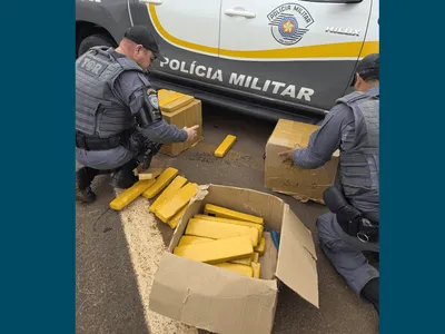 Homem é preso por tráfico e 38 tijolos de maconha são apreendidos em Araras