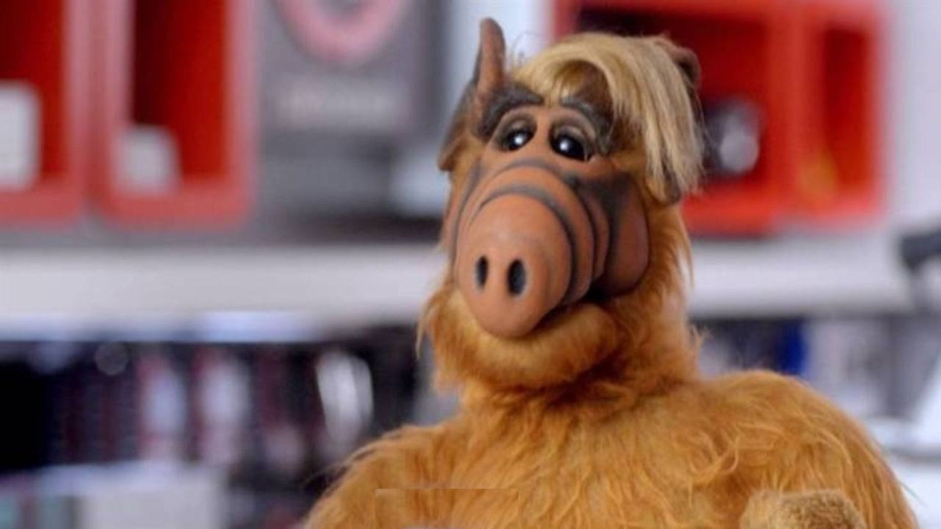ALF, o Eteimoso Foto: Divulgação/ NBC