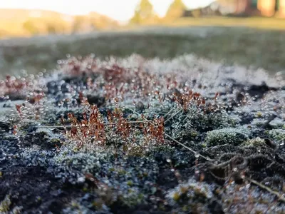 Após recorde de frio, Campos do Jordão registra 2.1°C nesta quinta (16)