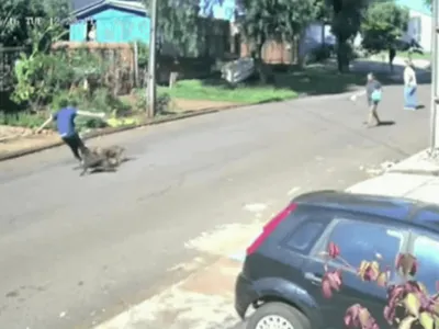 Vídeo: homem é atacado por cães e tenta escapar subindo em poste