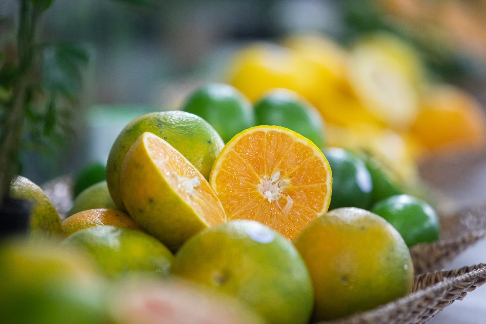 Mercado de laranja inicia safra 2026/27 com preços abaixo da média