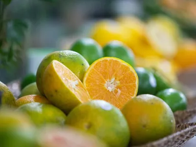 Mercado de laranja inicia safra 2026/27 com preços abaixo da média