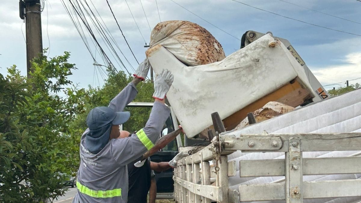 Caraguatatuba realiza Operação Cata-Treco em seis bairros