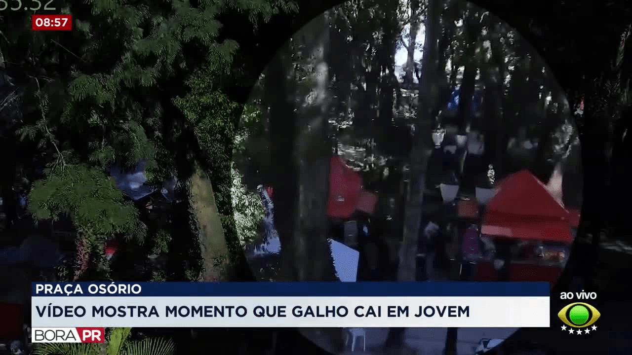 Câmera flagra queda de galho que feriu jovem em Curitiba
