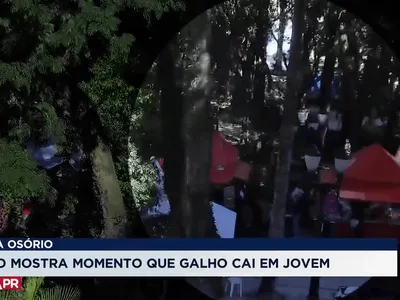 Câmera flagra queda de galho que feriu jovem em Curitiba