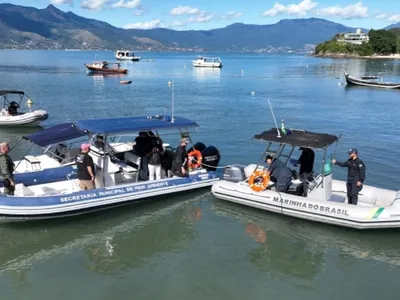 Ilhabela lança WhatsApp para denúncias na temporada de baleias