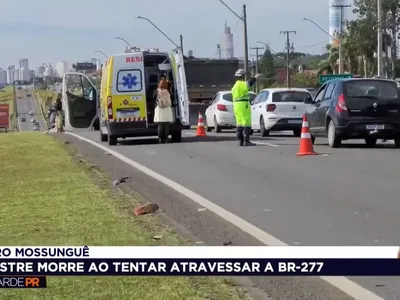 Homem morre atropelado ao tentar atravessar a BR-277, em Curitiba