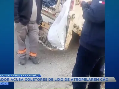 Potim: cadela teria sido atropelada e jogada na prensa do caminhão de lixo