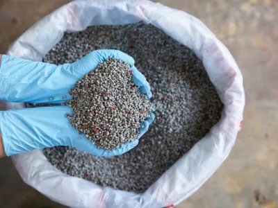 Cinco mitos e verdades sobre os fertilizantes que você precisa conhecer