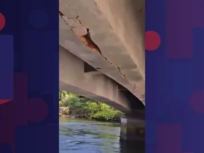 Obras na Ponte Velha da Barra da Tijuca devem ser concluídas em até 90 dias