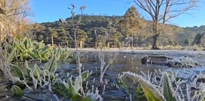 Região Sul tem recorde de frio com geadas e temperatura de até -9,1°C