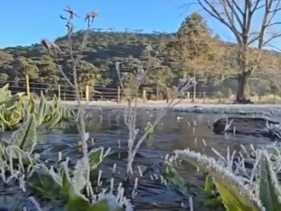 Região Sul tem recorde de frio com geadas e temperatura de até -9,1°C