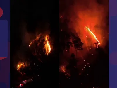 Incêndio atinge área de mata em Nova Friburgo, na Região Serrana do Rio
