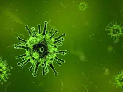 França identifica primeiro caso de ebola no país