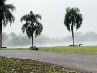 Curitiba tem dia mais gelado do ano; PR registra -4,8°C em General Carneiro