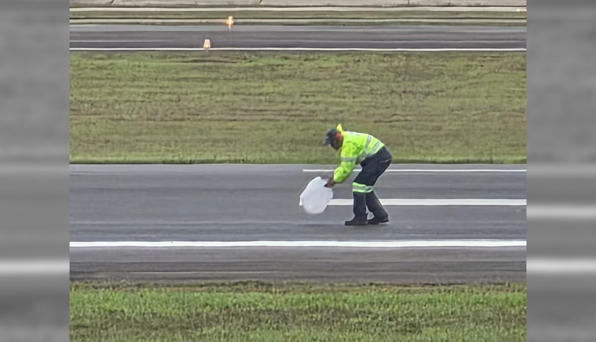 Colisão com ave paralisa operações no Aeroporto de Congonhas
