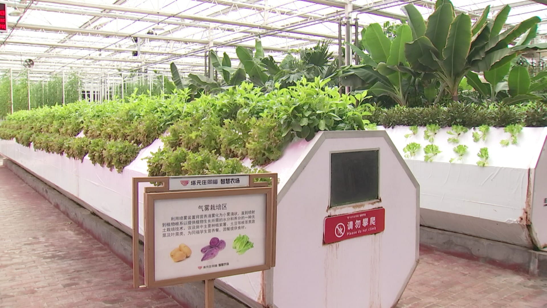 Tecnologia e digitalização transformam a produção agrícola na China