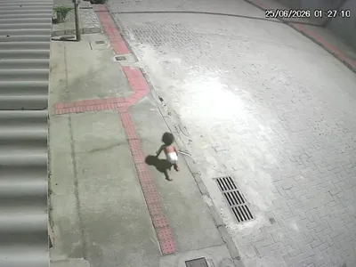 Bebê é flagrado engatinhando sozinho em rua de Vila Velha (ES)