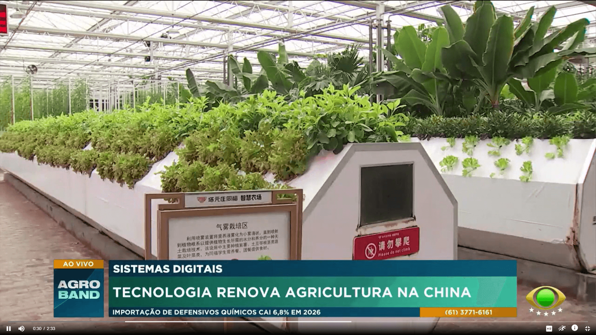 Fazenda chinesa investe em tecnologia e produz alimentos mais saudáveis