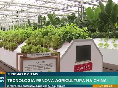 Fazenda chinesa investe em tecnologia e produz alimentos mais saudáveis